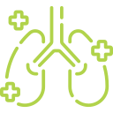 Fisioterapia Respiratória